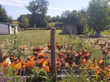Ferme du Grand Chêne au fond du Lac